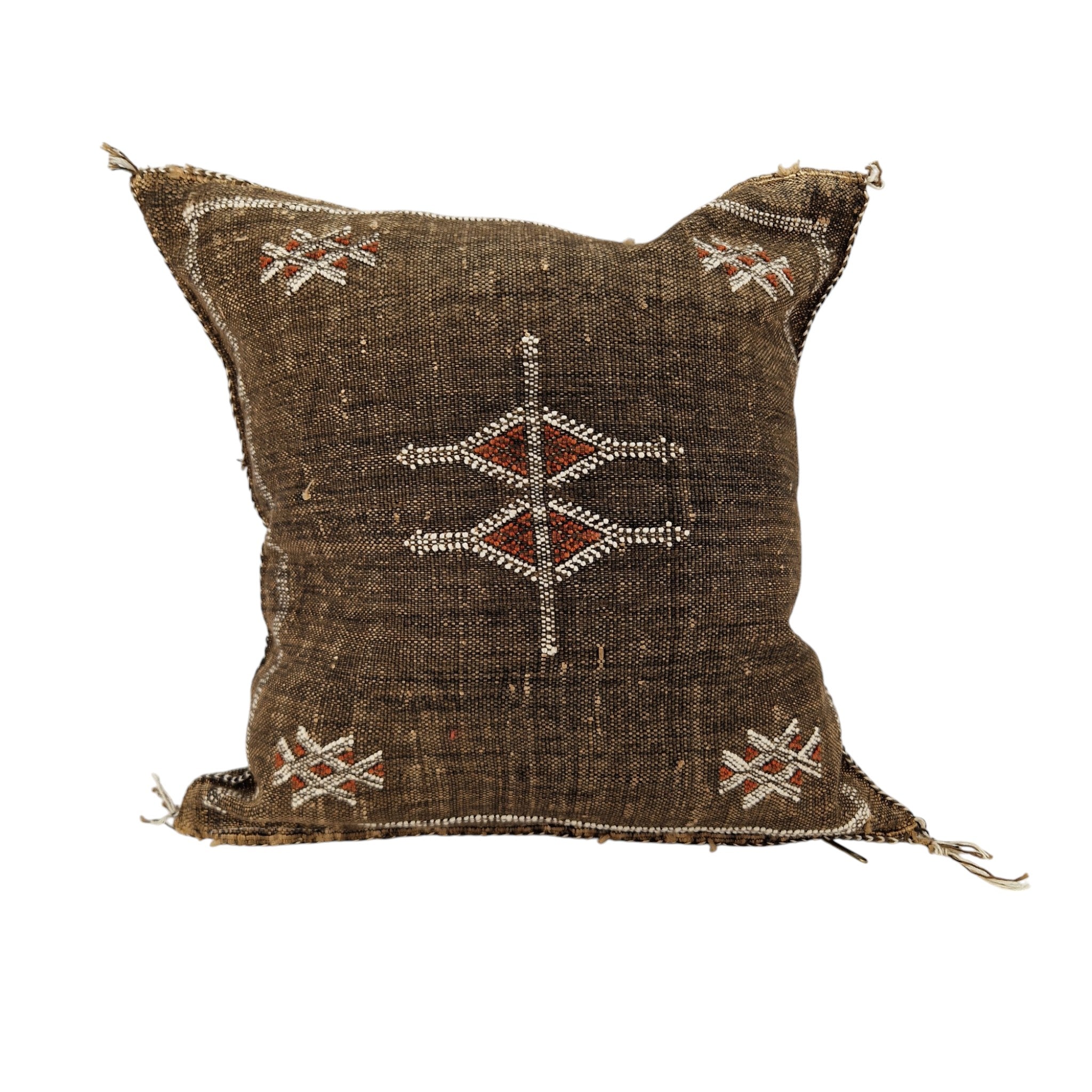 Handwoven Moroccan cactus Silk Pillow, 20x20 inch