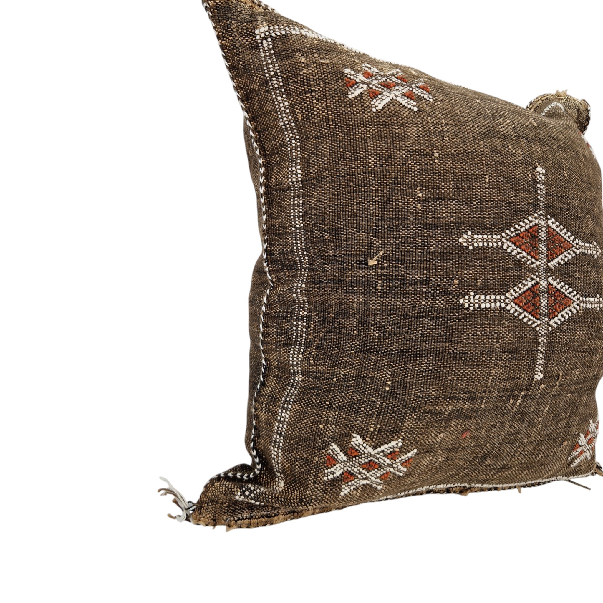 Handwoven Moroccan cactus Silk Pillow, 20x20 inch