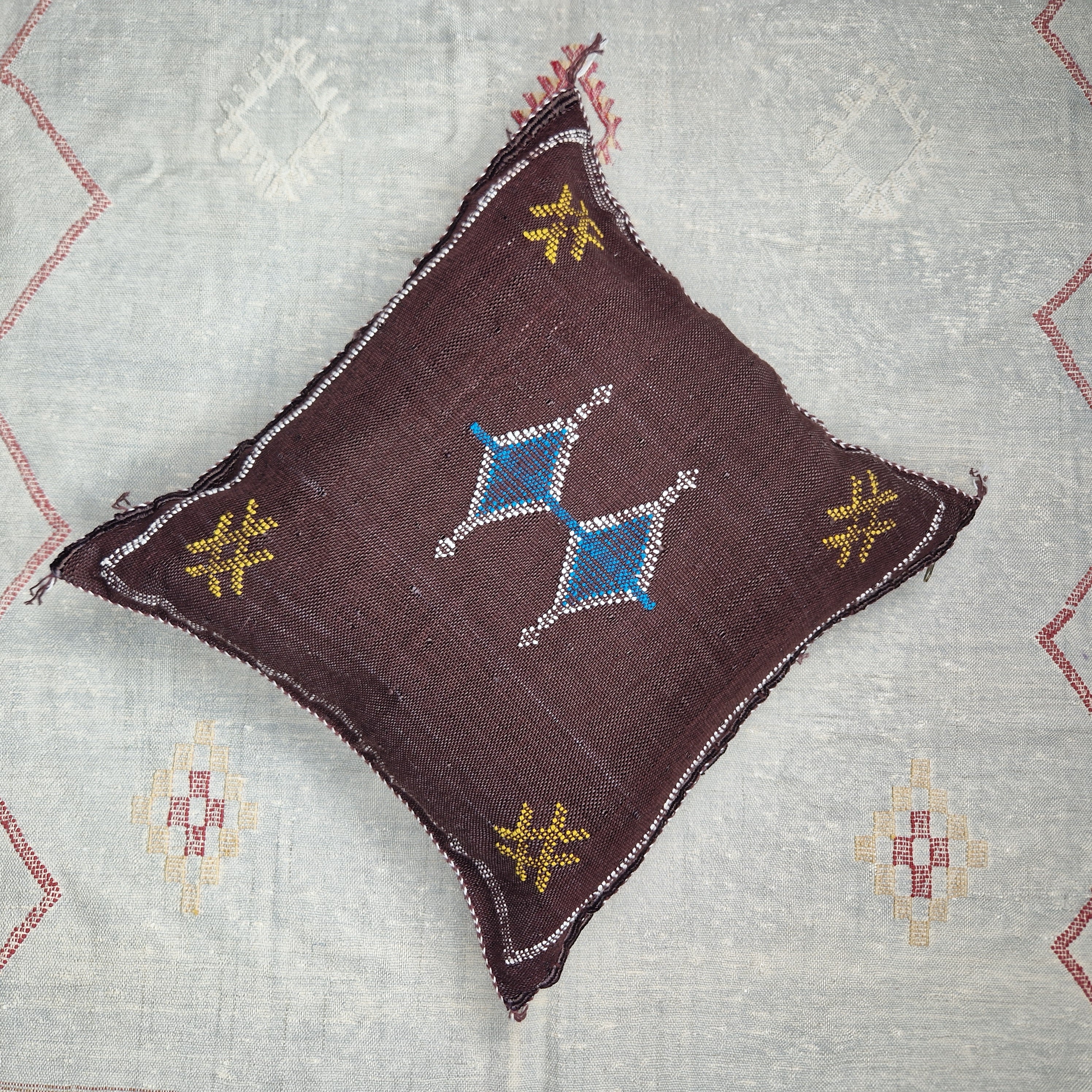 Handwoven Moroccan cactus Silk Pillow, 20x20 inch