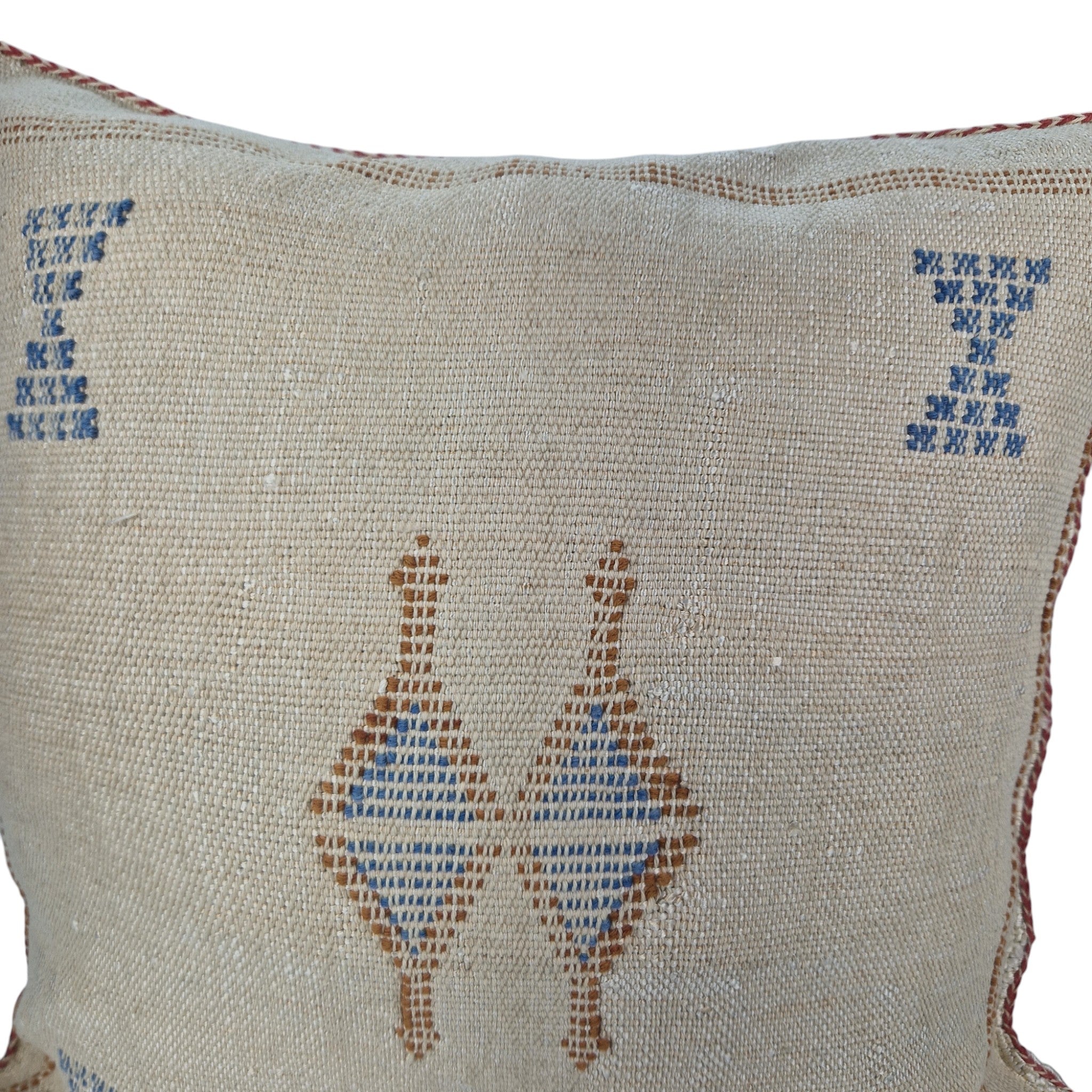 Handwoven Moroccan cactus Silk Pillow, 20x20 inch